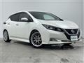 2020 Nissan Leaf