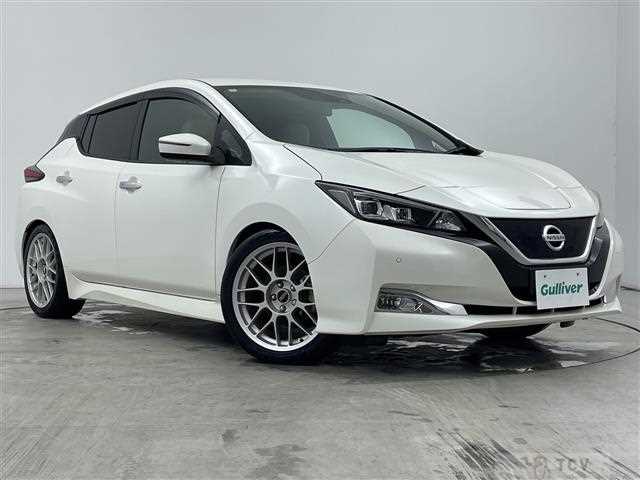 2020 Nissan Leaf