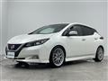 2020 Nissan Leaf
