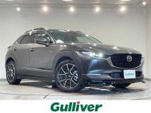 2021 Mazda CX-3