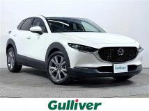 2022 Mazda CX-3