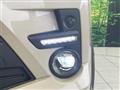 2019 Toyota Raize
