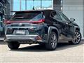 2019 Lexus UX