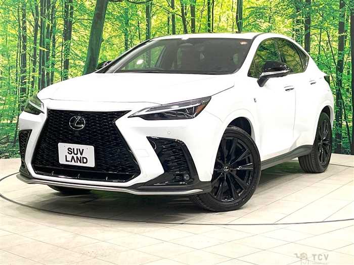 2023 Lexus NX