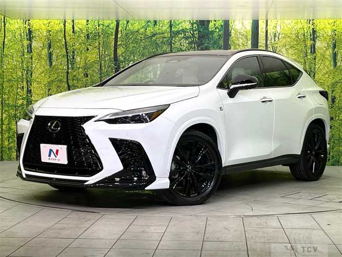 2023 Lexus NX