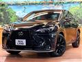 2025 Lexus NX