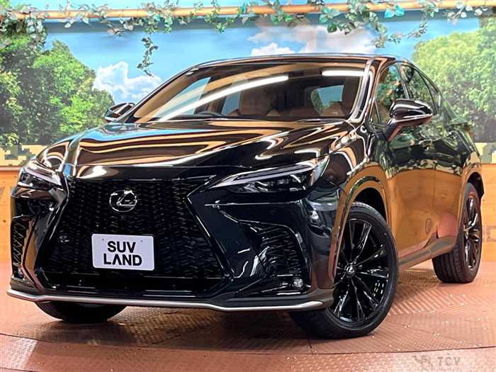 2025 Lexus NX