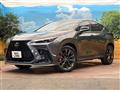 2021 Lexus NX