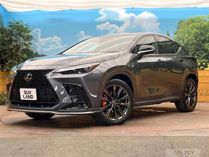 2021 Lexus NX