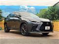 2021 Lexus NX