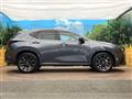 2021 Lexus NX