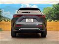 2021 Lexus NX