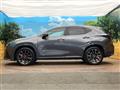 2021 Lexus NX