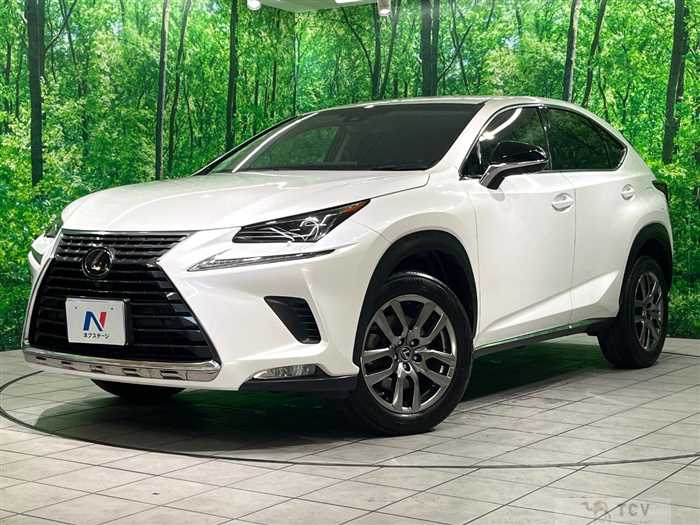 2018 Lexus NX