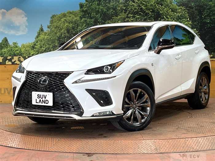2019 Lexus NX