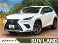 2019 Lexus NX