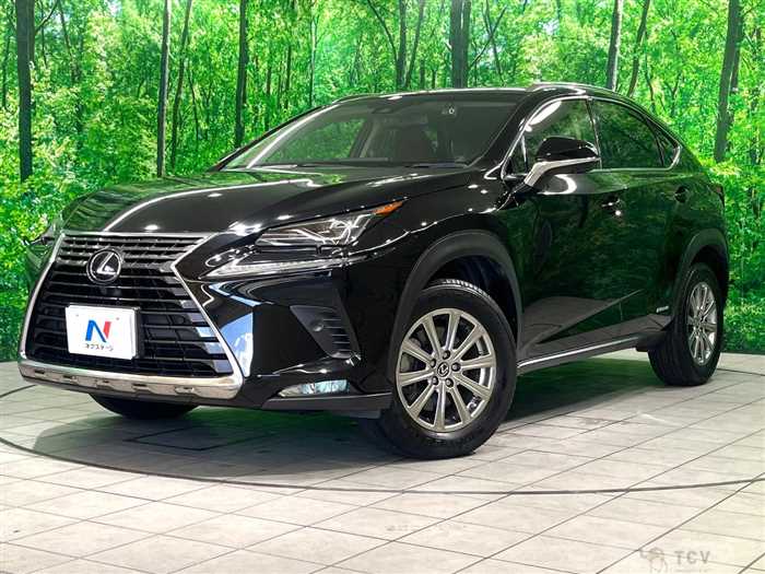 2017 Lexus NX