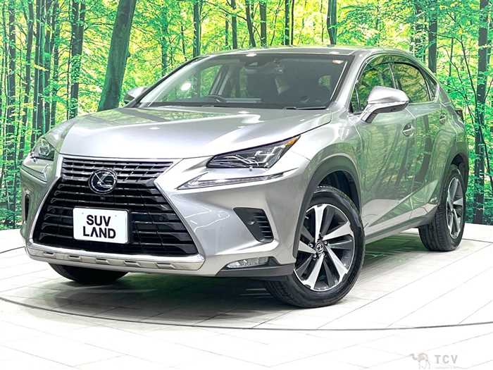 2018 Lexus NX