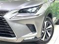 2018 Lexus NX