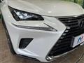 2019 Lexus NX