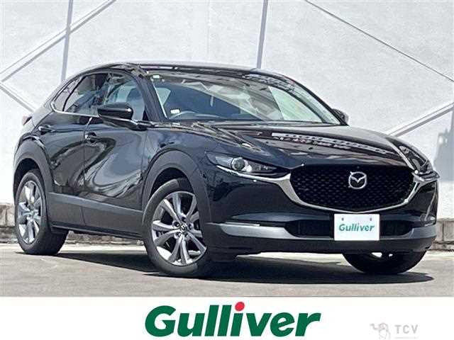 2021 Mazda CX-3