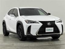 2019 Lexus UX