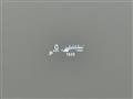 2021 Suzuki Spacia