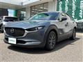 2021 Mazda CX-3