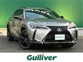 2021 Lexus UX