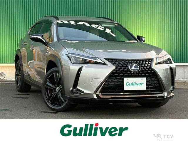 2021 Lexus UX