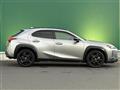 2021 Lexus UX