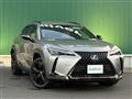 2021 Lexus UX