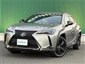 2021 Lexus UX