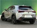 2021 Lexus UX