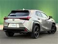 2021 Lexus UX