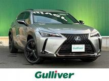 2021 Lexus UX