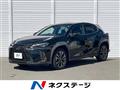 2019 Lexus Other