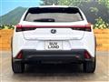 2020 Lexus Other