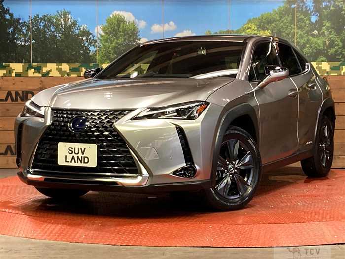 2021 Lexus Other