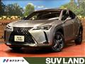 2021 Lexus Other