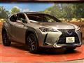 2021 Lexus Other