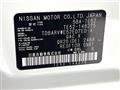 2021 Nissan Elgrand