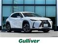 2021 Lexus UX