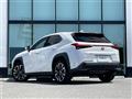 2021 Lexus UX