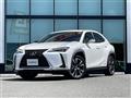 2021 Lexus UX