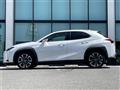 2021 Lexus UX