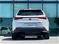 2021 Lexus UX