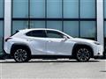 2021 Lexus UX