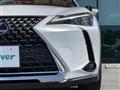 2021 Lexus UX