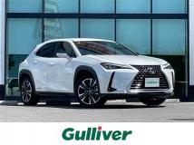 2021 Lexus UX